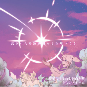 流星に生まれし純白き華