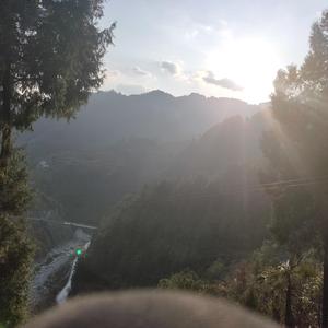 温柔体贴酷酷的妖怪