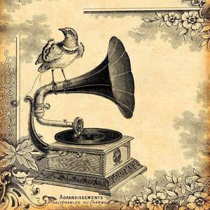 冲昏留声机(Prod MoonVibe Beatz )