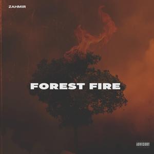 Forest Fire