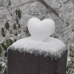 大太阳底下，谁在打伞遛弯