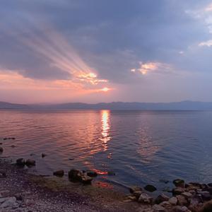 我要落日 海浪和鲜花