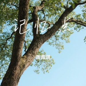 记忆点