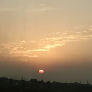 落空 (《旋风少女 第二季》电视剧) - 印子月