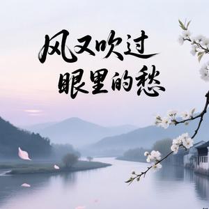 风又吹过眼里的愁