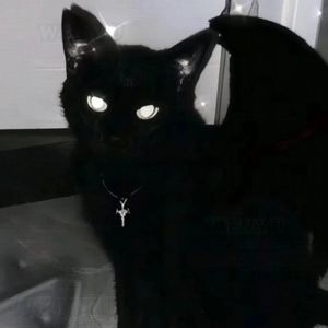 折叠过的思念（Cover 杜宣达）