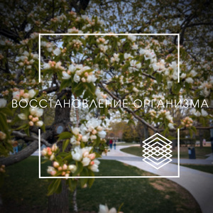 Прокачивание интуиции