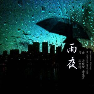 雨夜