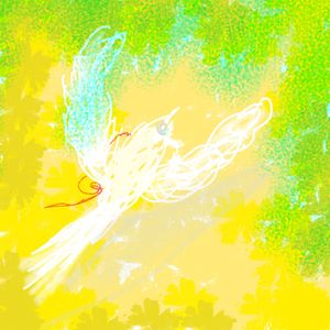 飞鸟和她（cover：不才/圈9）