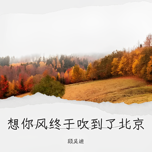 想你的风终于吹到了北京