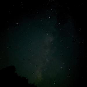 Cosmos