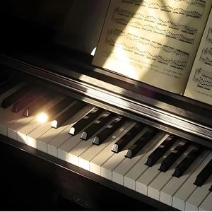 白月光与朱砂痣（钢琴版）