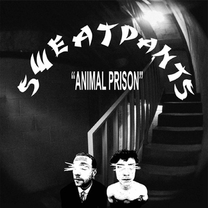 Life Is Short Sexy & Crazy