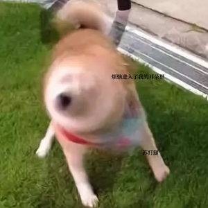 烦恼进入了我的耳朵里