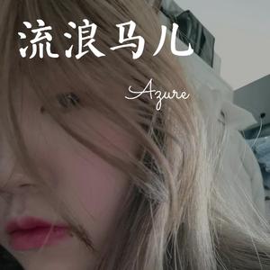 流浪马儿（Prod by Lil Siren&ZS beats）