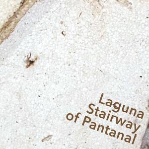 LAGUNA STAIRWAY OF PANTANAL