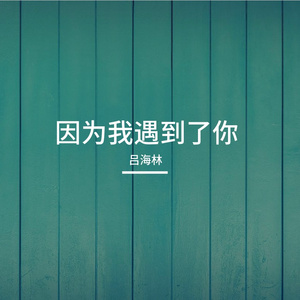 因为我遇到了你