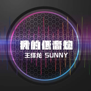 我的低音炮