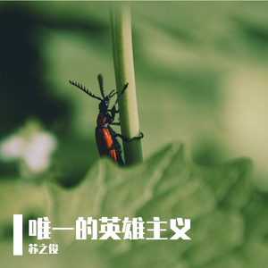 唯一的英雄主义