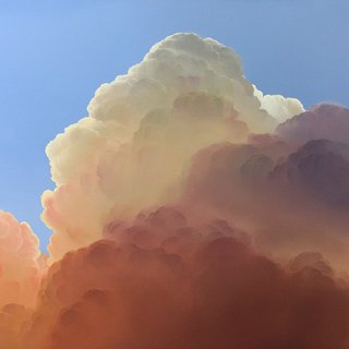流行/无意于此