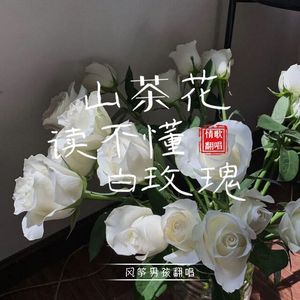 山茶花读不懂白玫瑰(吉他-翻唱