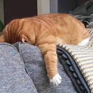 千古道藏