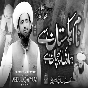 Naam Pakistan Se Hamari Pehchan Hai (Lofi-Mix)