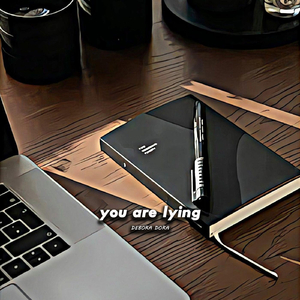 you are lying