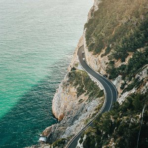 城市森林 星星点燃