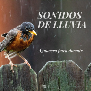 Lluvia chirriante
