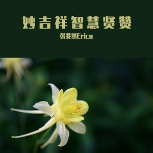 妙吉祥智慧贤赞(Prod. Furyl, 4_Chords)