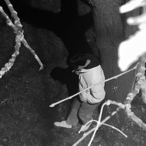 杀死二十岁的自己 伴奏