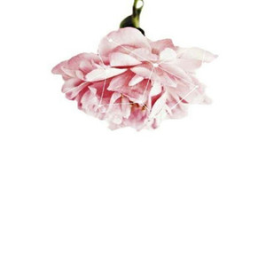 悲观的乐观的抑郁