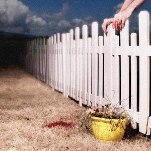 Juneberry (Extended Mag)