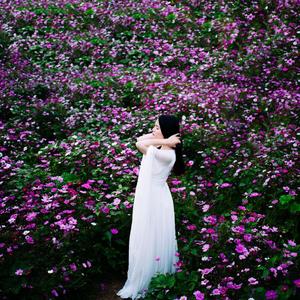 忆江南（古筝版）