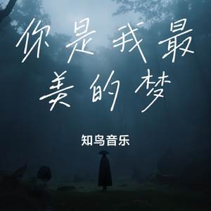 你是我最美的梦