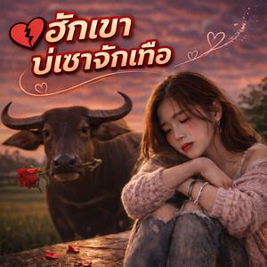 ฮักเขาบ่เซาจักเทือ