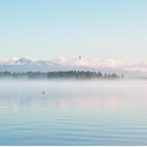 Sacred Grove Meditation