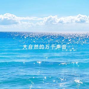 NO.5 吉他助眠刮大风鸟叫 蛙鸣