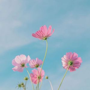 雨碎江南（笛子）