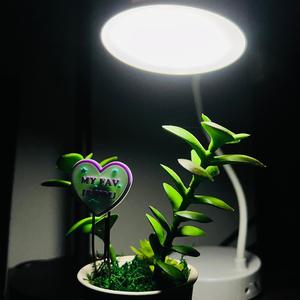 İcazə ver sevim səni