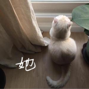 该歌曲授权到期后下架，歌曲质量太差，勿喷