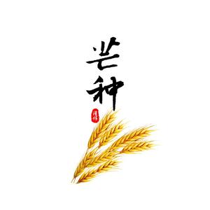 芒种（超强和声加长版！）