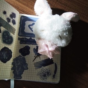 永无归期却又盼春秋