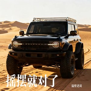 摇摆就对了