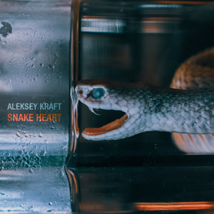 Somewhere in the Desert