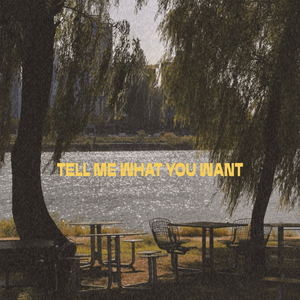 Tell me what you want (feat.LIIV) (feat. LIIV)