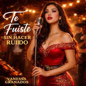 Te Fuiste Sin Hacer Ruido