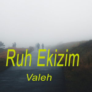 Ruh Ekizim