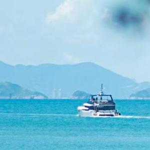 不再心疼你的无助